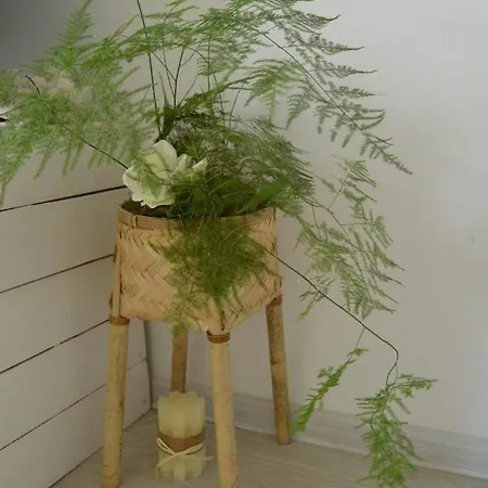 Avantgarden Lighthouse Apartament Brasov