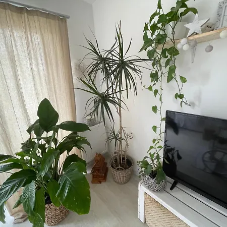 Avantgarden Lighthouse Apartament * Brasov